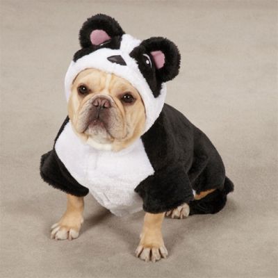 Casual Canine Panda Pup Costume