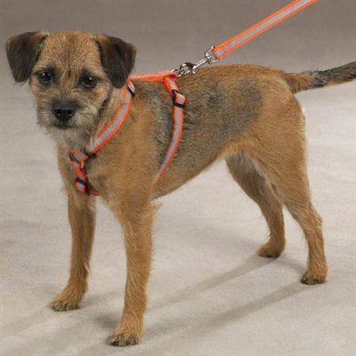 Guardian Gear Reflective Dog Harnesses