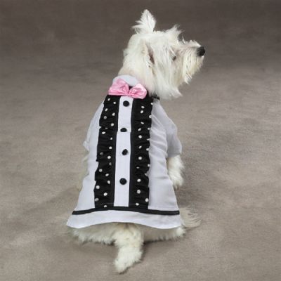 East Side Collection Wedding Party Best Man Shirts