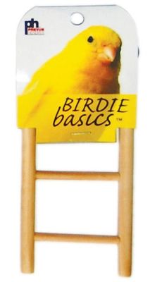 Prevue Hendryx Birdie Basics Bird Ladder