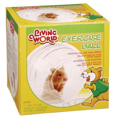 Living World Exercise Ball with Stand - Assorted Color
