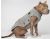 Canada Pooch Northern Knit Sweater
