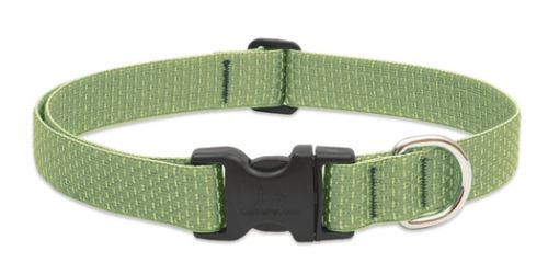 Lupine Eco Adjustable Dog Collar - Moss