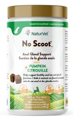 NaturVet No Scoot Plus Pumpkin Soft Chew for Dogs