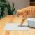 Pidan Cat Litter Mat