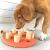 Outward Hound Nina Ottosson Dog Smart Composite Dog Puzzle Toy
