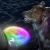Nite Ize Flashflight Dog Discuit - LED Flying Disc