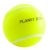 Planet Dog Orbee-Tuff Sport Tennis Ball Dog Toy