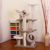 PetPals EVEREST Multi Level Carpet Play House Cat Tree
