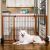 Carlson Pet Extra Wide Wood Gate