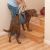 Kurgo Up & About Dog Lifter