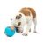 GURU BusyBall Treat Dispensing Dog Toy - Medium