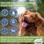 4Legger USDA Certified Organic Lemongrass and Aloe Hypoallergenic Dog Shampoo - 16oz