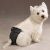 ClearQuest Female Pet Pup Pants