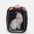 Pidan Transparent Backpack Carrier For Cats and Small Dogs