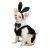 Casual Canine Party Hounds Bunny Costume