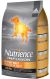 Nutrience Infusion Healthy Adult Chicken Dry Dog Food 22 lbs