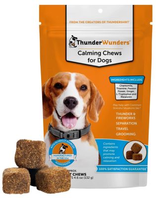 ThunderWunders Calming Soft Chews for Dogs