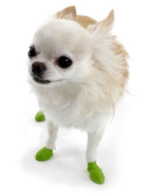 Pawz Dog Boots (12 individual rubber boots/pack)