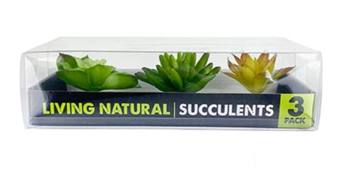 Komodo Succulents Yellow/Green Plant Decorations (3pk)
