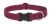 Lupine Eco Adjustable Dog Collar - Berry