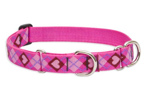 Lupine Originals Martingale Combo Dog Collar - Puppy Love