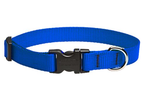 Lupine Basics Adjustable Dog Collar - Blue