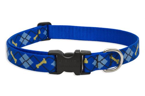 Lupine Originals Pattern Adjustable Dog Collar - Dapper Dog