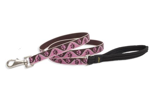 Lupine Originals Dog Leash - Tickled Pink