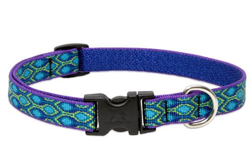 Lupine Originals Pattern Adjustable Dog Collar - Rain Song