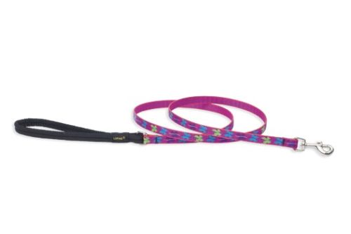 Lupine Originals Dog Leash - Wing It