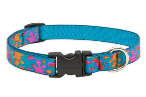 Lupine Originals Pattern Adjustable Dog Collar - Wet Paint!