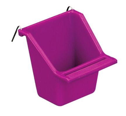 Living World Seed Cup-Assorted Color