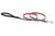 Lupine Originals Dog Leash - Lollipop