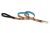 Lupine Originals Dog Leash - Crazy Daisy