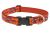 Lupine Originals Pattern Adjustable Dog Collar - Go Go Gecko