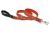Lupine Originals Dog Leash - Go Go Gecko