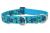 Lupine Originals Martingale Combo Dog Collar - Turtle Reef