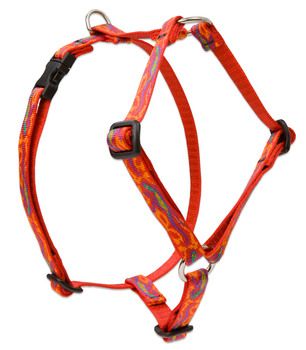 Lupine Originals Roman Style Adjustable Dog Harness - Go Go Gecko