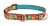 Lupine Originals Martingale Combo Dog Collar - Crazy Daizy