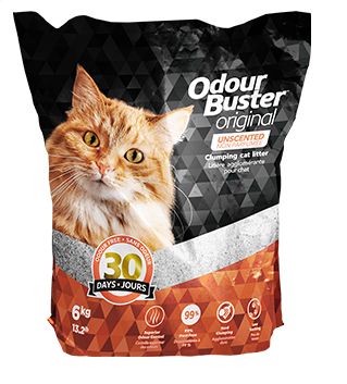 Odour Buster Original Cat Litter - 6kg