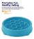 Outward Hound Petstages Kitty Slow Feeder for Cats