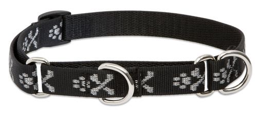 Lupine Originals Martingale Combo Dog Collar - Bling Bonz