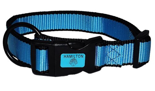 Hamilton Neon Series Fully Adjustable Dog Collar