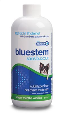 Bluestem Oral Care Water Additive with Coactiv+ Mint Flavor for Dogs - 500ml
