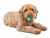 GURU Tennis Max Ball Medium Dog Toy