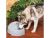 Drinkwell Everflow Indoor/Outdoor Pet Fountain - 1.5 gallons