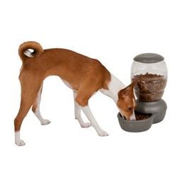 Petmate Replendish Feeder with Microban