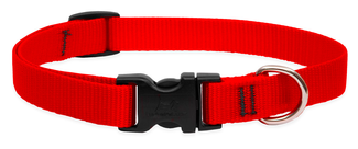 Lupine Basics Adjustable Cat Collar