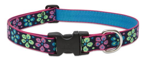 Lupine Originals Pattern Adjustable Dog Collar - Flower Power